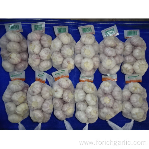 Good Quality Regular White Garlic